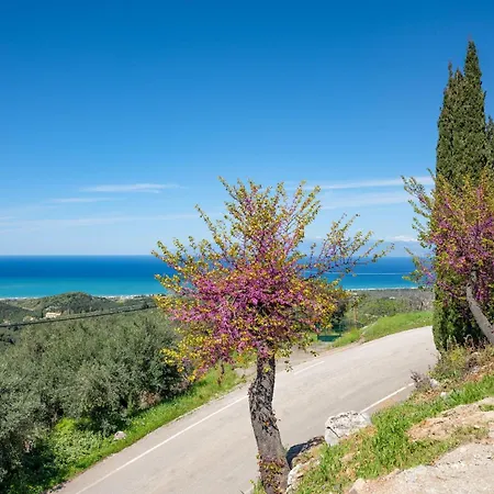 Hercules Tatil Evi Lafki